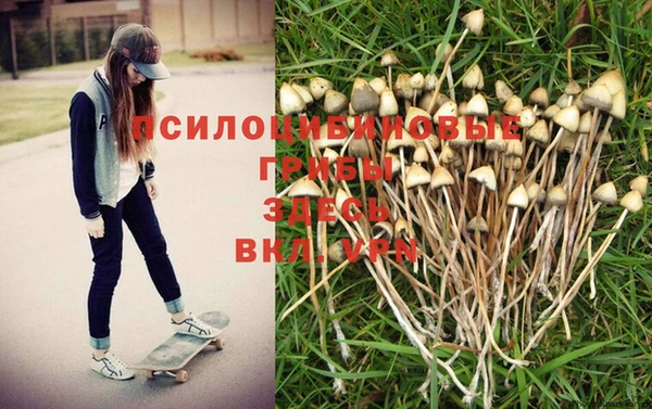 ECSTASY Алексеевка