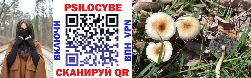 Галлюциногенные грибы Psilocybine cubensis Белебей
