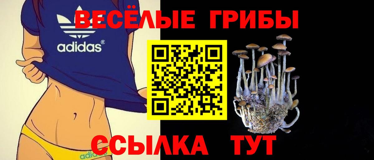 Псилоцибиновые грибы прущие грибы Белебей